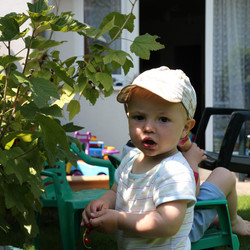 IMG_0013.JPG