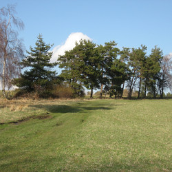 IMG_0016.JPG
