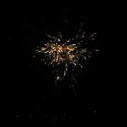 IMG_0006.JPG