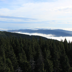 IMG_0004.jpg