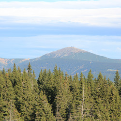 IMG_0008.JPG