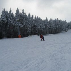 IMG_0084.jpg