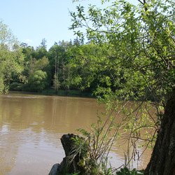 IMG_0003.JPG