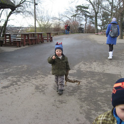 IMG_0008.JPG