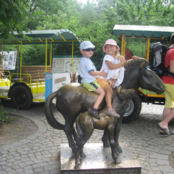 IMG_0007.JPG