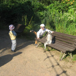IMG_0001.jpg