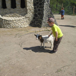IMG_0028.jpg