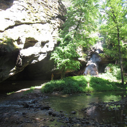 IMG_0011.JPG