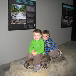 IMG_0001.JPG