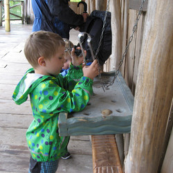 IMG_0007.JPG