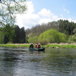 IMG_0015.jpg