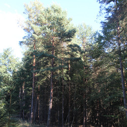 IMG_0009.JPG