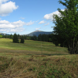 IMG_0004.JPG