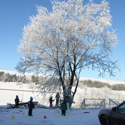 IMG_0024.JPG
