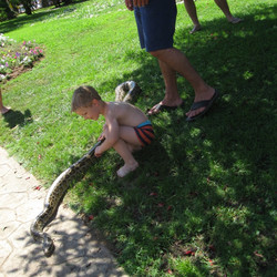 IMG_0026.jpg