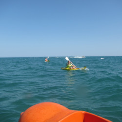 IMG_0042.jpg