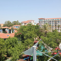 IMG_0074.jpg