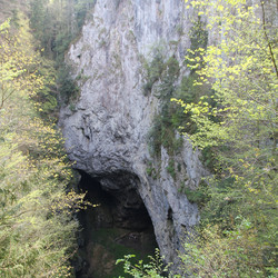IMG_0045.JPG