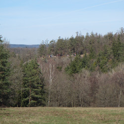IMG_0032.jpg