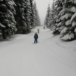 IMG_0032.jpg