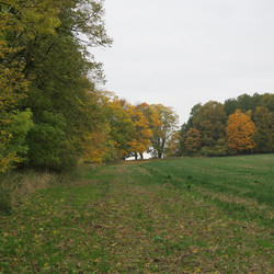 IMG_0005.JPG