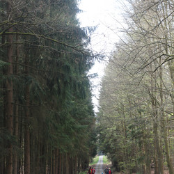 IMG_0008.JPG