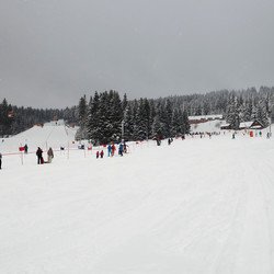 IMG_0069.jpg