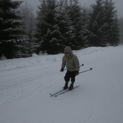 IMG_0006.jpg