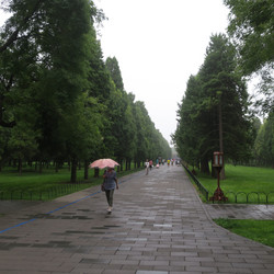 IMG_0008.JPG