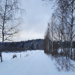 IMG_0005.jpg