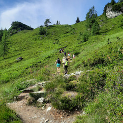 IMG_0014.jpg