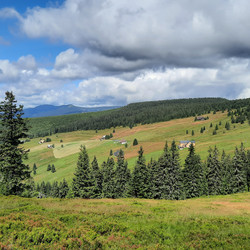 IMG_0001.jpg