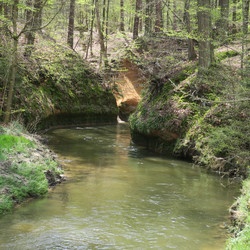 IMG_0005.JPG