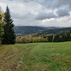 IMG_0007.jpg