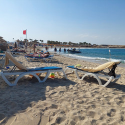 IMG_0024.jpg