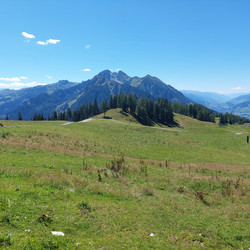 IMG_0064.jpg