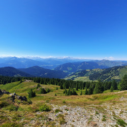 IMG_0100.jpg