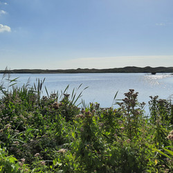 IMG_0042.jpg