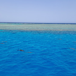 IMG_0069.JPG