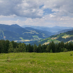 IMG_0017.JPG