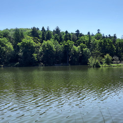 IMG_0007.JPG