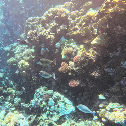 IMG_0081.JPG