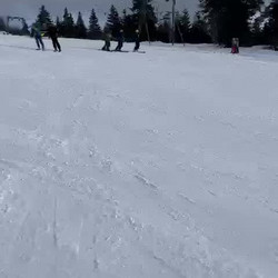 MVI_240213-2.mp4