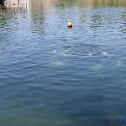 IMG_0005.JPG