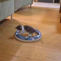Video7.mp4