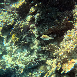 IMG_0155.JPG