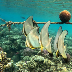 IMG_0017.JPG
