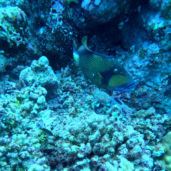 IMG_0050.JPG