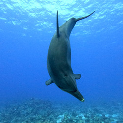 IMG_0080.JPG
