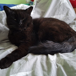 IMG_0014.JPG